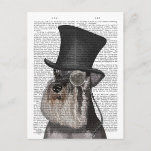 Schnauzer, Festhund und Hut Postkarte