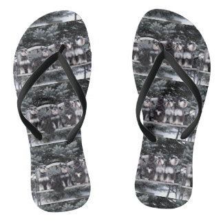 Schnauzer Flip Flops Badesandalen