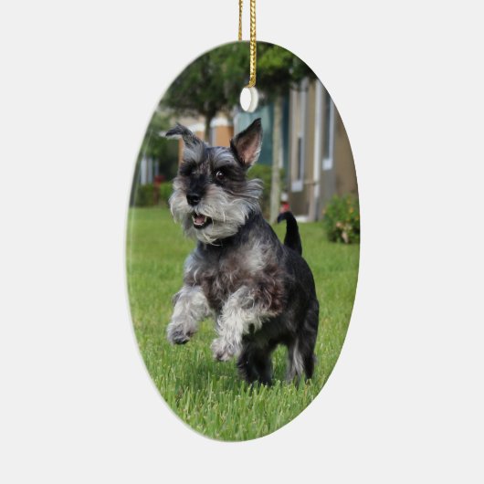 Schnauzer, Freude Keramikornament (Rechts)