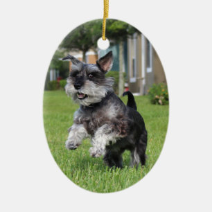 Schnauzer, Freude Keramikornament