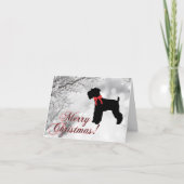 Schnauzer Frohe Weihnachten Karte (Vorderseite)