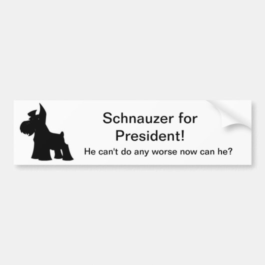 Schnauzer für Präsidenten Autoaufkleber (Vorne)