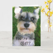 Schnauzer glückliches Bday Karte (Gelbe Blume)