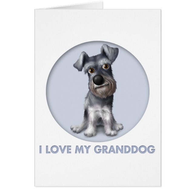 Schnauzer Granddog (Vorne)