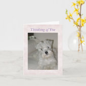 Schnauzer-Gruß-Karte Karte (Gelbe Blume)