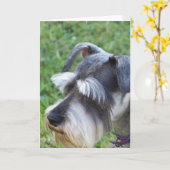 Schnauzer Grußkarte Karte (Gelbe Blume)