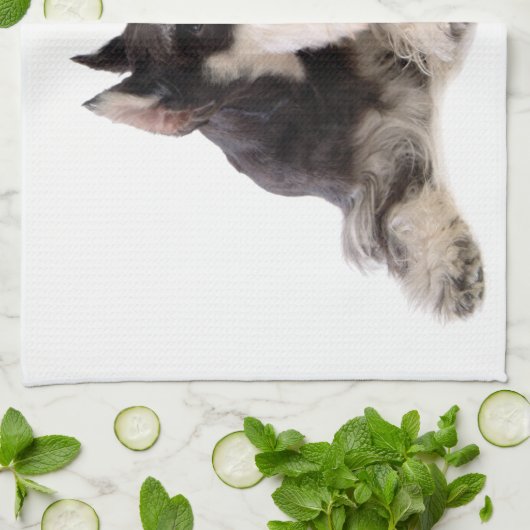 SCHNAUZER HANDTUCH (Gefaltet)