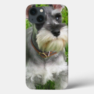 Schnauzer-Hund iPhone 13 Hülle