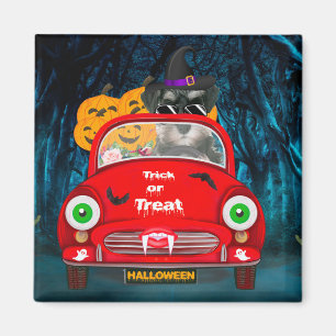 Schnauzer Hund fährt Auto Gruselig Halloween  Magnet