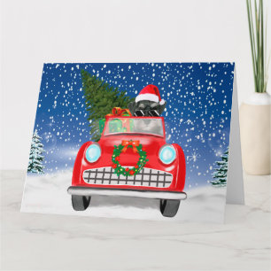 Schnauzer-Hund fährt Auto im Schnee Weihnachten  Karte