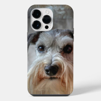 Schnauzer-Hund Gesicht iPhone 14 Pro Max Hülle