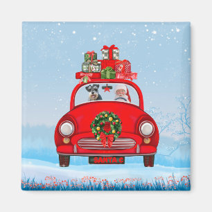 Schnauzer Hund in Auto mit dem Weihnachtsmann Magnet