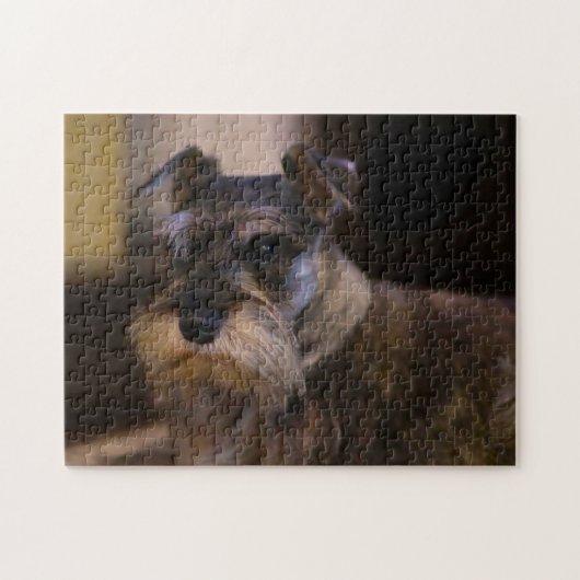Schnauzer Hund Jigsaws. Puzzle (Horizontal)