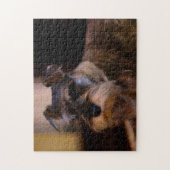 Schnauzer Hund Jigsaws. Puzzle (Vertikal)
