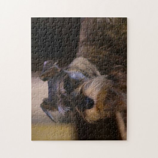 Schnauzer Hund Jigsaws. Puzzle (Vertikal)