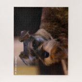 Schnauzer-Hund-Puzzles. Puzzle (Vertikal)