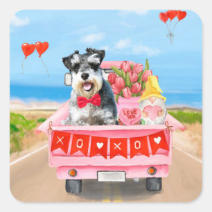 Schnauzer-Hund Valentinstag LKW Herzen Quadratischer Aufkleber