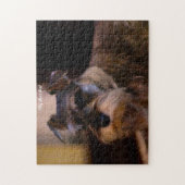 Schnauzer-Hunde-Puzzles. Puzzle (Vertikal)