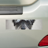 Schnauzer-HundeAutoaufkleber Autoaufkleber (On Car)