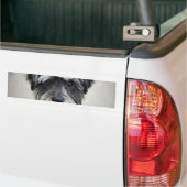 Schnauzer-HundeAutoaufkleber Autoaufkleber (On Truck)