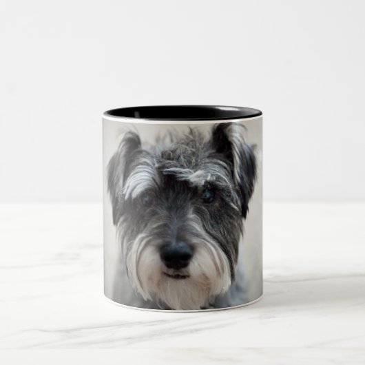 Schnauzer-Hundekaffeetasse Zweifarbige Tasse (Mittel)