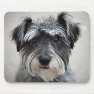 Schnauzer-Hundemausunterlage Mousepad