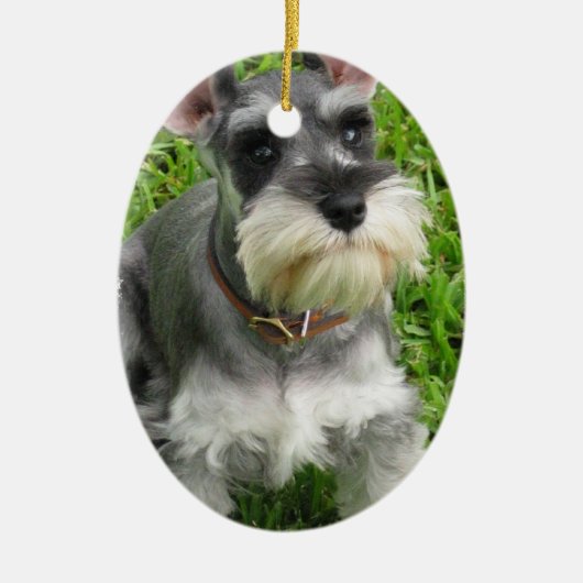 Schnauzer-Hundeverzierung Keramikornament (Vorne)