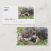 Schnauzer-HundeVisitenkarte Visitenkarte (Vorne/Hinten)