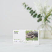 Schnauzer-HundeVisitenkarte Visitenkarte (Stehend Vorderseite)