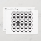 Schnauzer im Schafe Postkarte (Vorne/Hinten)
