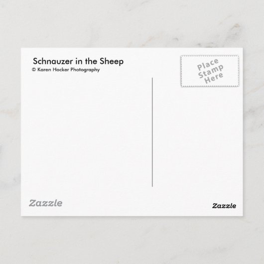 Schnauzer im Schafe Postkarte (Rückseite)