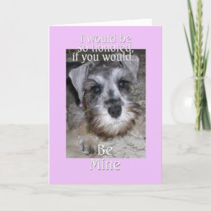 Schnauzer ist meiner feiertagskarte