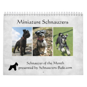 Schnauzer-Kalender 2016 Kalender