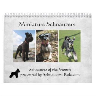 Schnauzer-Kalender 2016 Kalender