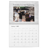 Schnauzer-Kalender 2016 Kalender (Jan 2027)