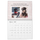 Schnauzer-Kalender 2016 Kalender (Feb 2027)