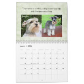 Schnauzer-Kalender 2016 Kalender (Mär 2026)