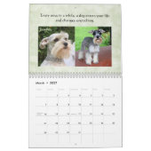 Schnauzer-Kalender 2016 Kalender (Mär 2027)