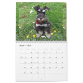 Schnauzer-Kalender 2018 Kalender (Mär 2026)