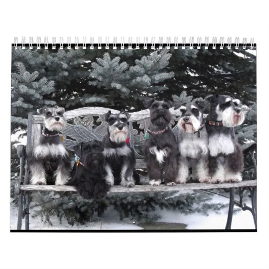 Schnauzer-Kalender 2018 Kalender (Titelbild)