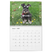 Schnauzer-Kalender 2018 Kalender (Mär 2027)