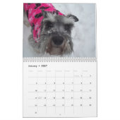 Schnauzer-Kalender 2018 Kalender (Jan 2027)
