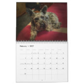 Schnauzer-Kalender 2018 Kalender (Feb 2027)
