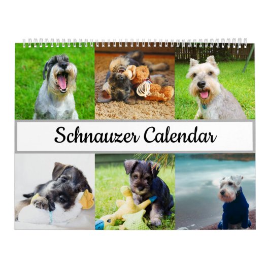 Schnauzer-Kalender Kalender (Titelbild)