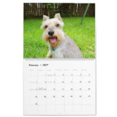Schnauzer-Kalender Kalender (Feb 2027)