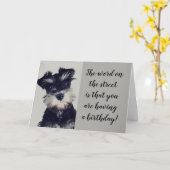 SCHNAUZER KANN DIE NACHRICHTEN NICHT GLAUBEN **50? KARTE (Gelbe Blume)