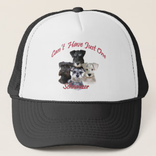 Schnauzer kann gerade ein Kleid nicht haben Truckerkappe