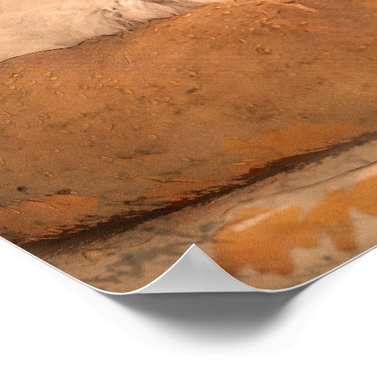 Schnauzer Koch Küche Print Poster (Ecke)