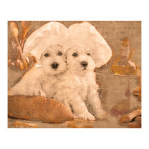 Schnauzer Koch Küche Print