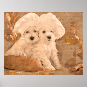 Schnauzer Köche Küchendruck Poster